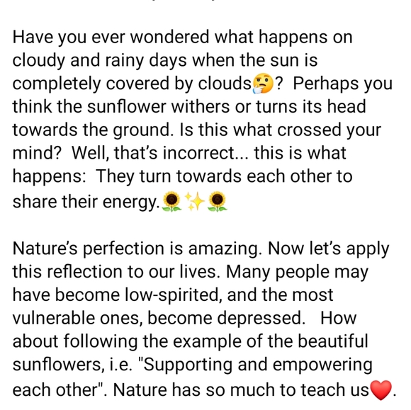 Meet your Posher, Tas - Picture 2 of 2